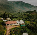 Colombia Decaf - Sugarcane