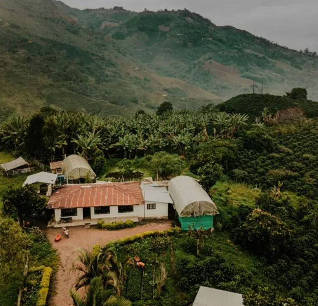 Colombia Decaf - Sugarcane