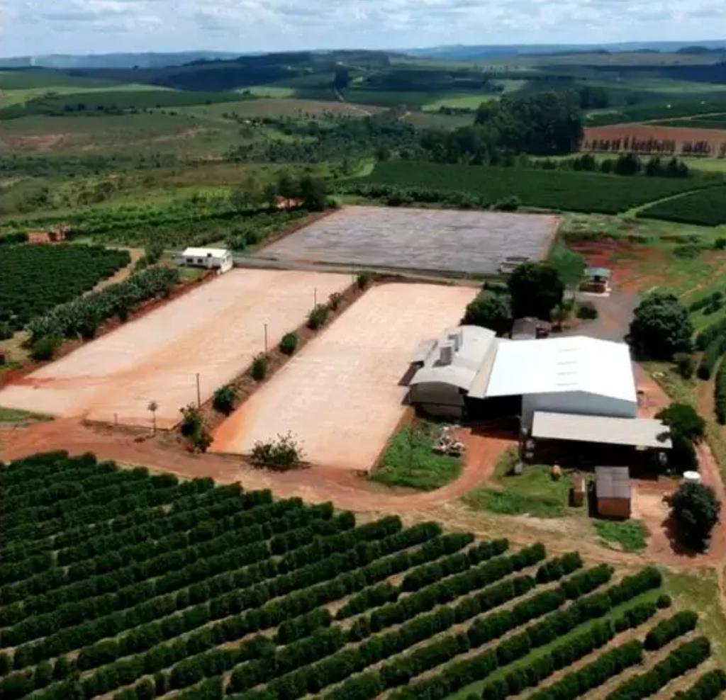 Brazil Eagle Monte Carmelo (Cafe Delas)