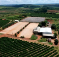 Brazil Eagle Monte Carmelo (Cafe Delas)
