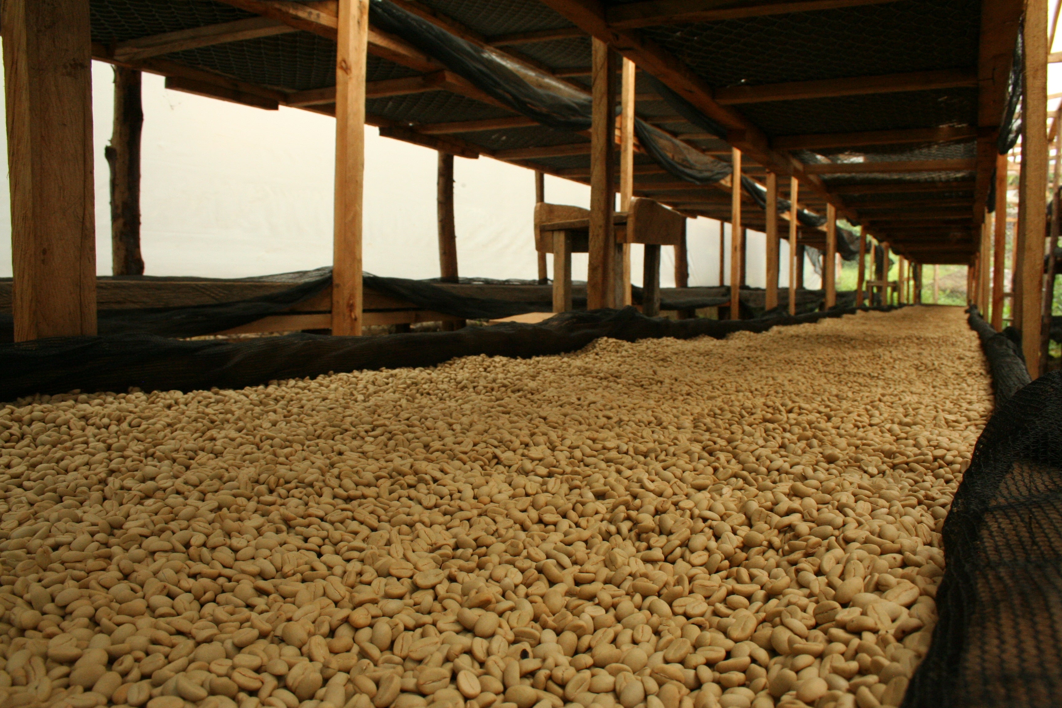 Rotating Espresso Roast